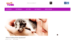 Desktop Screenshot of kittentoob.com